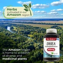DHEA Caps