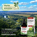 Ginkgo Biloba Drops Extract 60ml