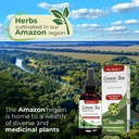 Green Tea Drops Extract 60ml