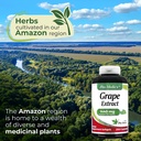 GRAPE EXTRACT X 250 SOFTGELS