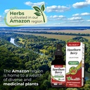 Hawthorn Berry Drops Extract 60ml