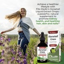 Horsetail Grass Drops Extract 60ml
