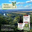 Horsetail Grass Drops Extract 60ml