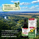 St Johns Wort -  Drops Extract 60ml