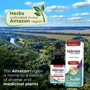Valerian root - drops  Extract 60ml
