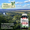 Maca x 120 Caps