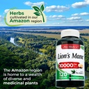 Lions Mane - 120 Caps.*