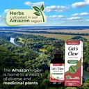 Cat´s Claw Drops Extract 60ml