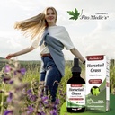 Horsetail Grass Drops Extract 60ml.*