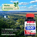 Berberine x 120 Capsules
