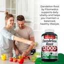 Dandelion x 300 Capsules