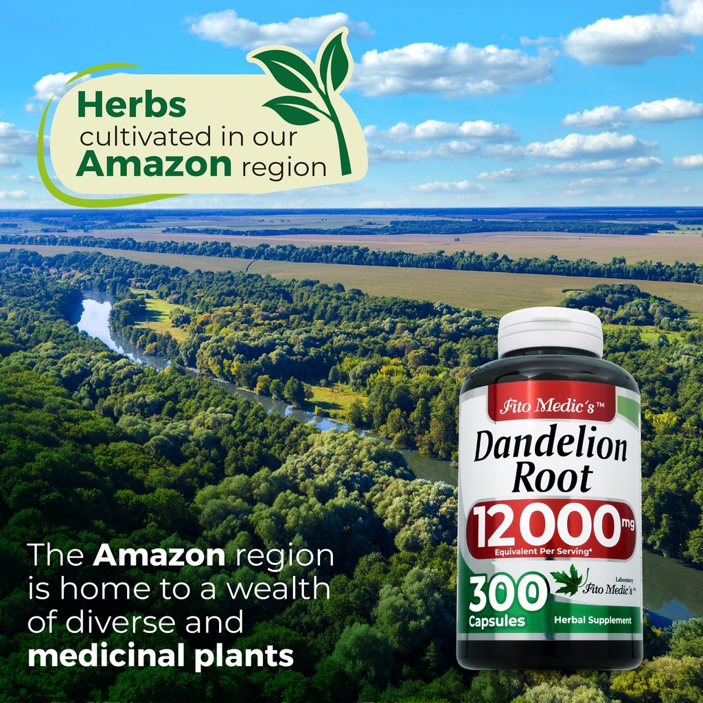 Dandelion x 300 Capsules