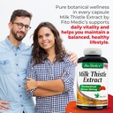 Milk Thistle extract x 250 Softgels
