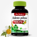 Bidens Pilosa x 120 Softgels